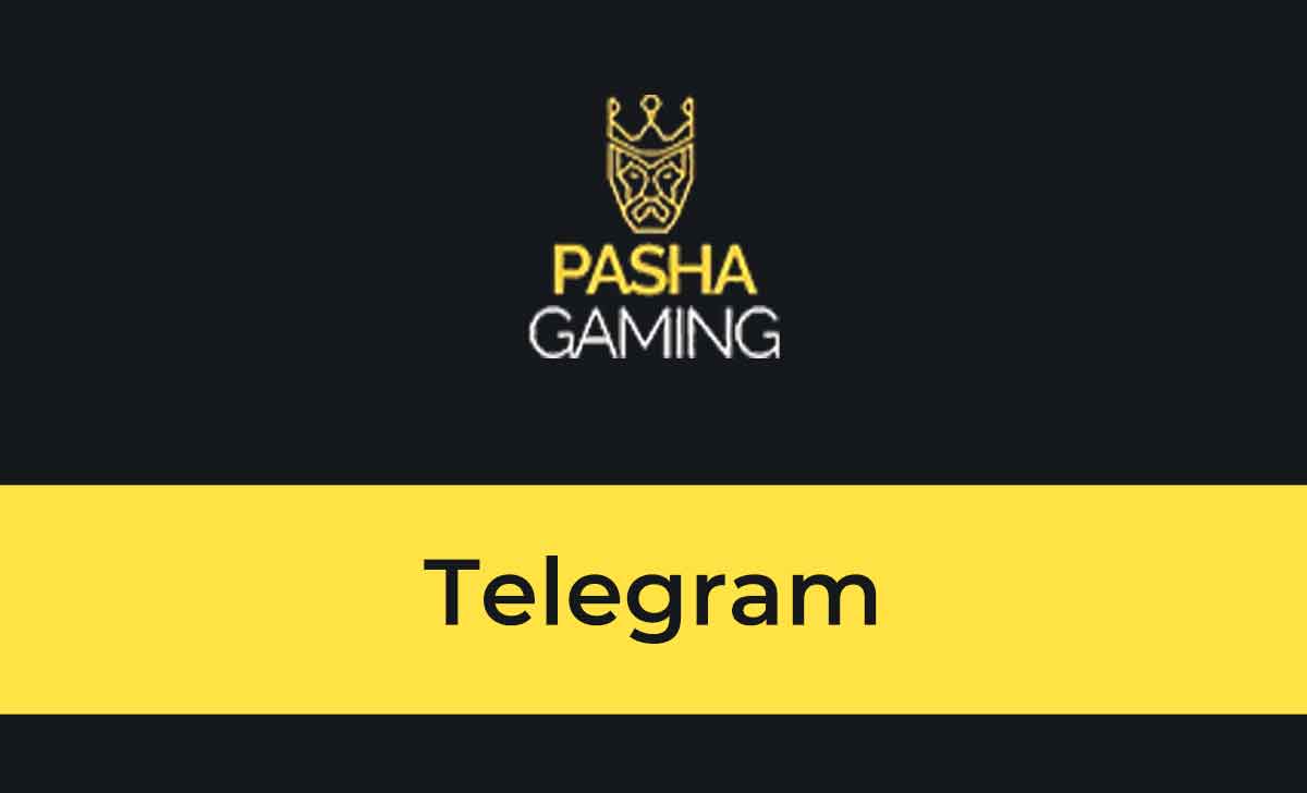 Pashagaming Telegram